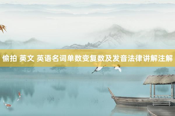 偷拍 英文 英语名词单数变复数及发音法律讲解注解