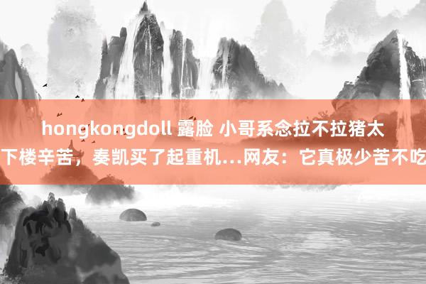 hongkongdoll 露脸 小哥系念拉不拉猪太胖下楼辛苦，奏凯买了起重机…网友：它真极少苦不吃啊