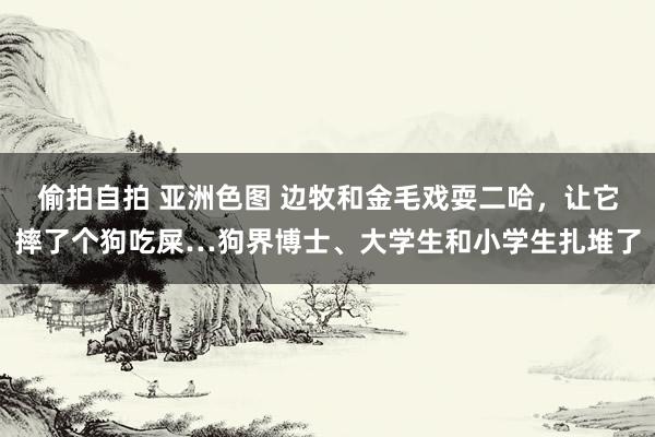 偷拍自拍 亚洲色图 边牧和金毛戏耍二哈，让它摔了个狗吃屎…狗界博士、大学生和小学生扎堆了
